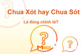 Chua xót hay chua sót? Đâu là từ đúng chính tả Tiếng Việt?