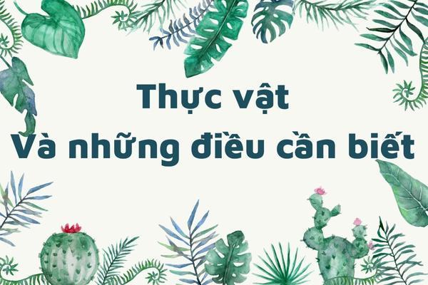 Thực vật và những điều kỳ lạ trong thế giới thực vật